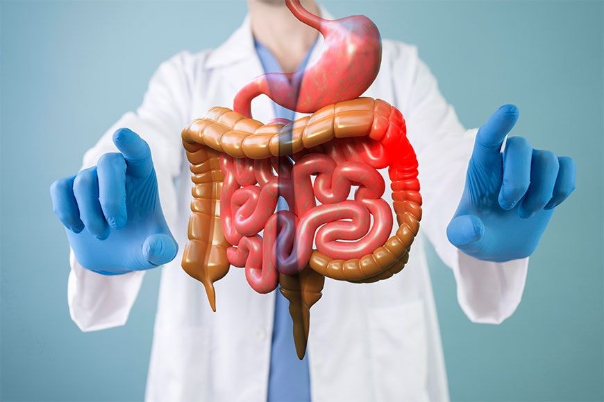 Our Health Packages