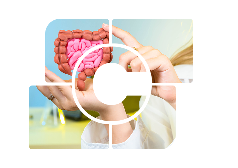 GUT Health Package